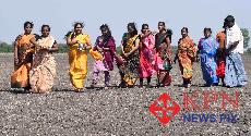 Farmers family offers Charaga Pooja to celebrate Sheegi Hunnime in Hebballi Village in Dharwad Taluk on Monday. -KPN 