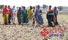 Farmers family offers Charaga Pooja to celebrate Sheegi Hunnime in Shivalli Village in Dharwad Taluk on Monday. -KPN 